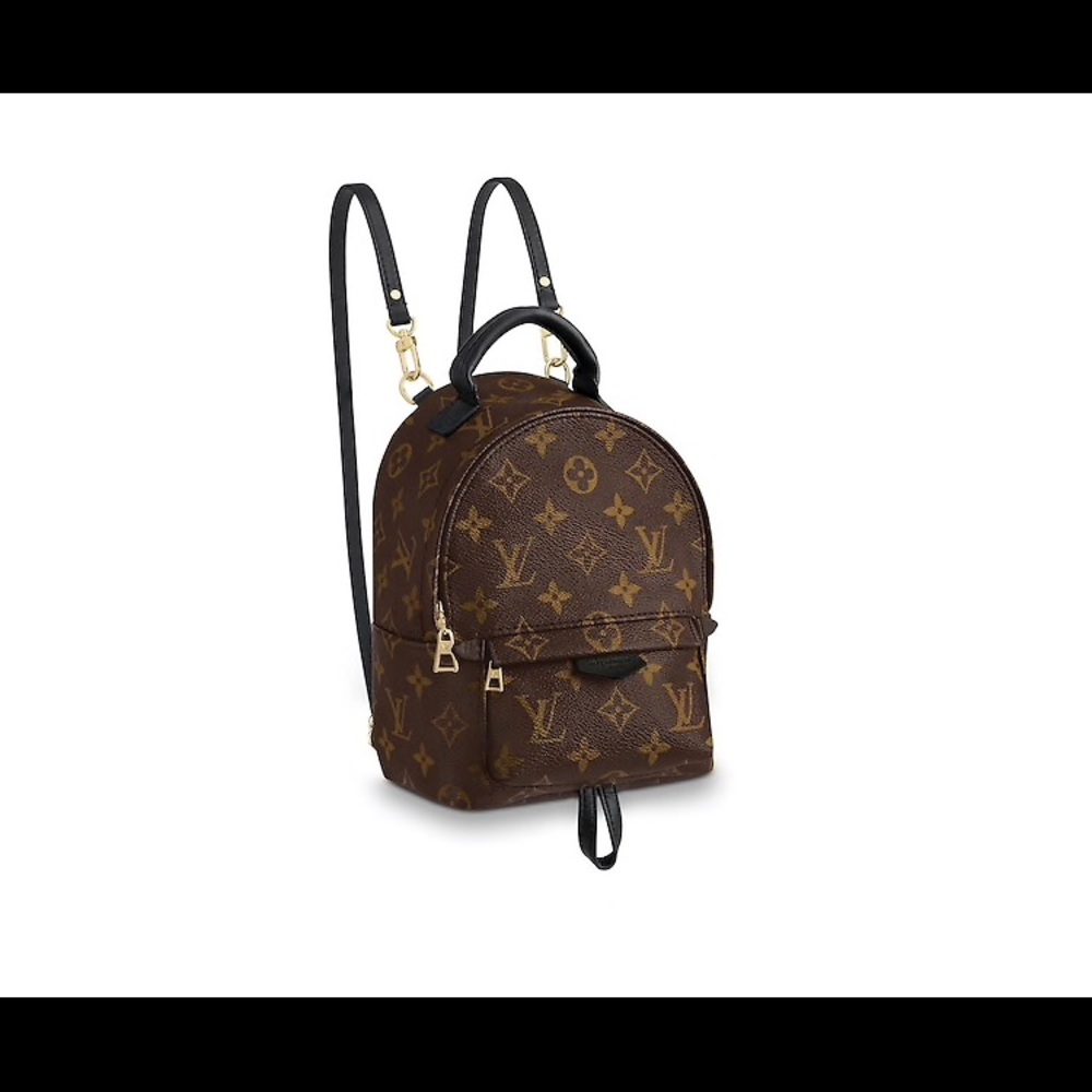 Louis Vuitton Mini Palm Spring Backpack- HTF